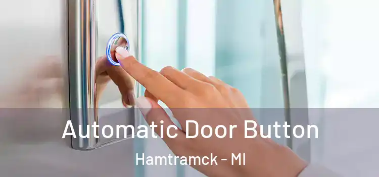 Automatic Door Button Hamtramck - MI