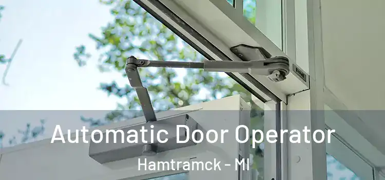 Automatic Door Operator Hamtramck - MI