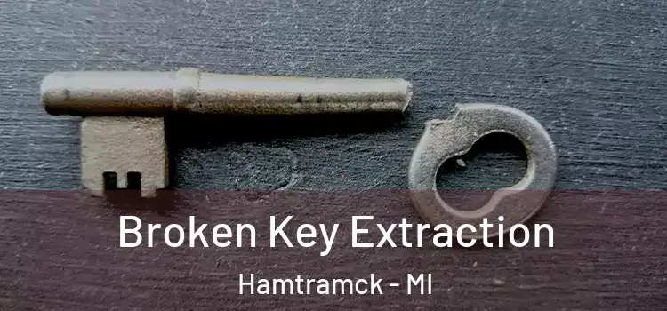 Broken Key Extraction Hamtramck - MI