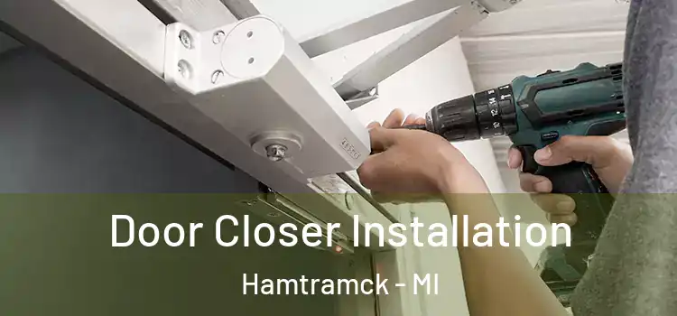 Door Closer Installation Hamtramck - MI