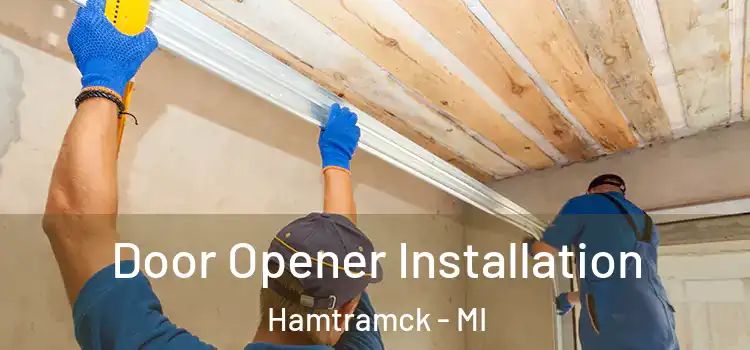  Door Opener Installation Hamtramck - MI