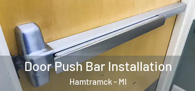  Door Push Bar Installation Hamtramck - MI