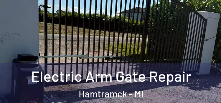 Electric Arm Gate Repair Hamtramck - MI