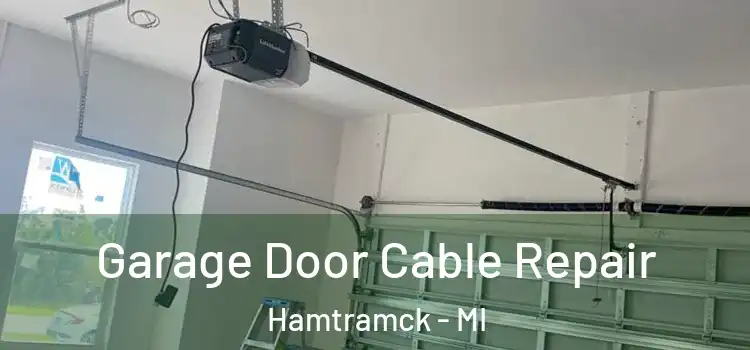  Garage Door Cable Repair Hamtramck - MI