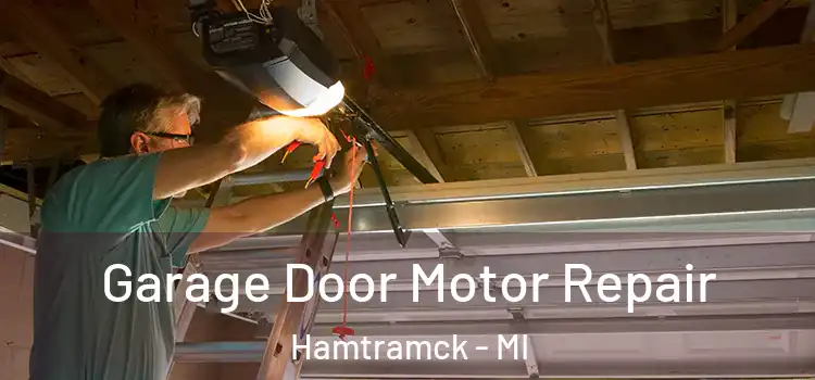  Garage Door Motor Repair Hamtramck - MI