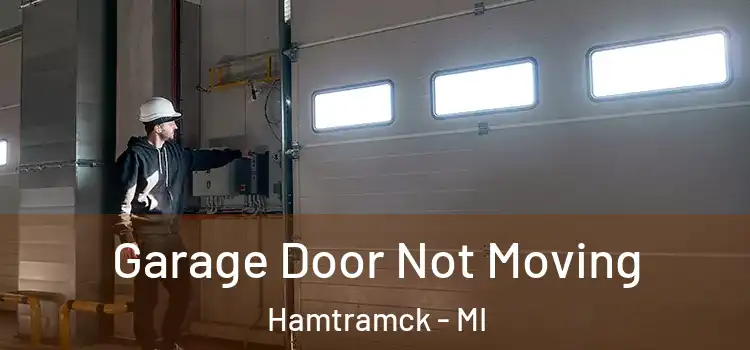  Garage Door Not Moving Hamtramck - MI