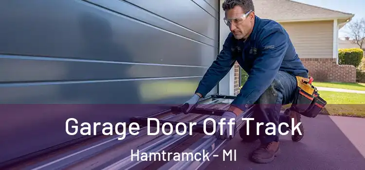  Garage Door Off Track Hamtramck - MI