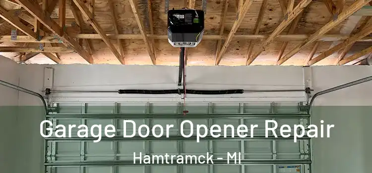  Garage Door Opener Repair Hamtramck - MI