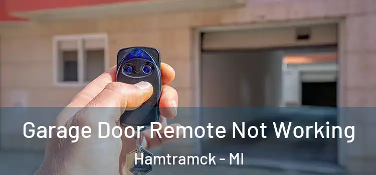  Garage Door Remote Not Working Hamtramck - MI
