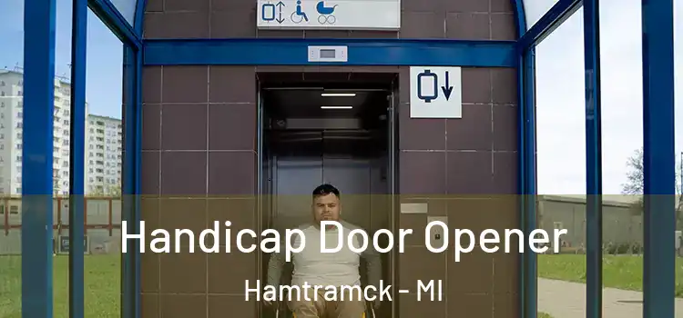 Handicap Door Opener Hamtramck - MI