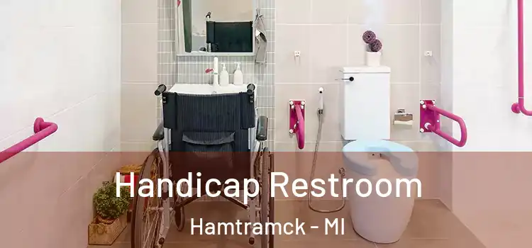  Handicap Restroom Hamtramck - MI