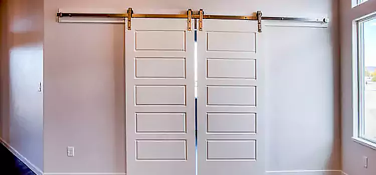 Glass Barn Door with Installation Hardware Kit Hamtramck