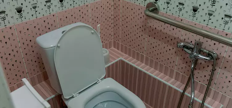 Meeting Diverse Needs With Accessible Restroom Solutions in Hamtramck, MI