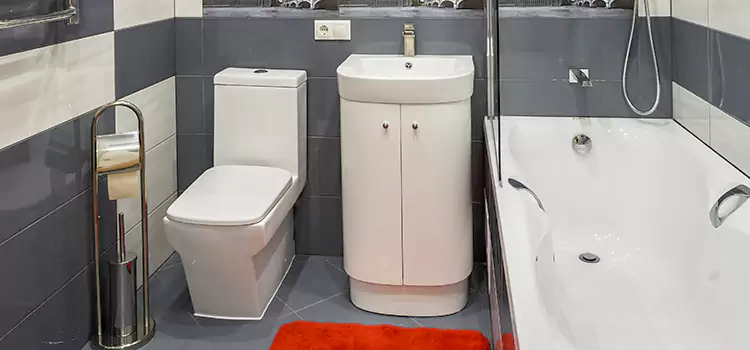 Hansgrohe Shaving Mirror Hamtramck