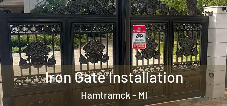  Iron Gate Installation Hamtramck - MI