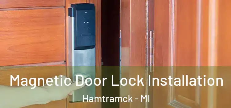  Magnetic Door Lock Installation Hamtramck - MI