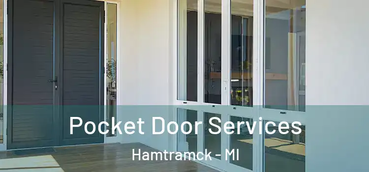 Pocket Door Services Hamtramck - MI
