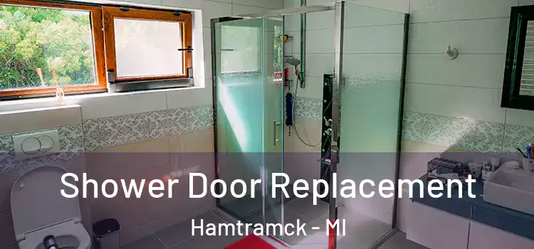 Shower Door Replacement Hamtramck - MI