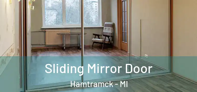  Sliding Mirror Door Hamtramck - MI